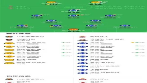 莺歌赛季终结背后揭秘，文班能否回归？马刺连受挫，逆境求生挑战加剧